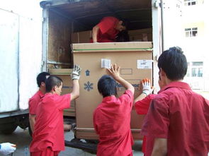 郑州搬家与家政服务 专业、高效，助力生活无忧