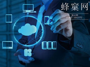 商标分类第42类第4217分组列表明细查询指南——以尚标商标网为例